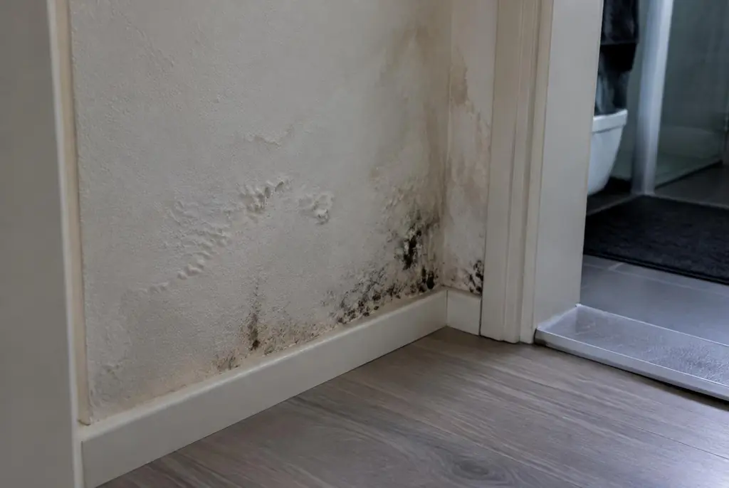 Lekdetectie Odijk – vochtplek met schimmel op een muur